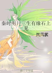 In the Qin Dynasty, the bright moon and three lives are destined to be seen on the stone