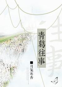 Qingge's past